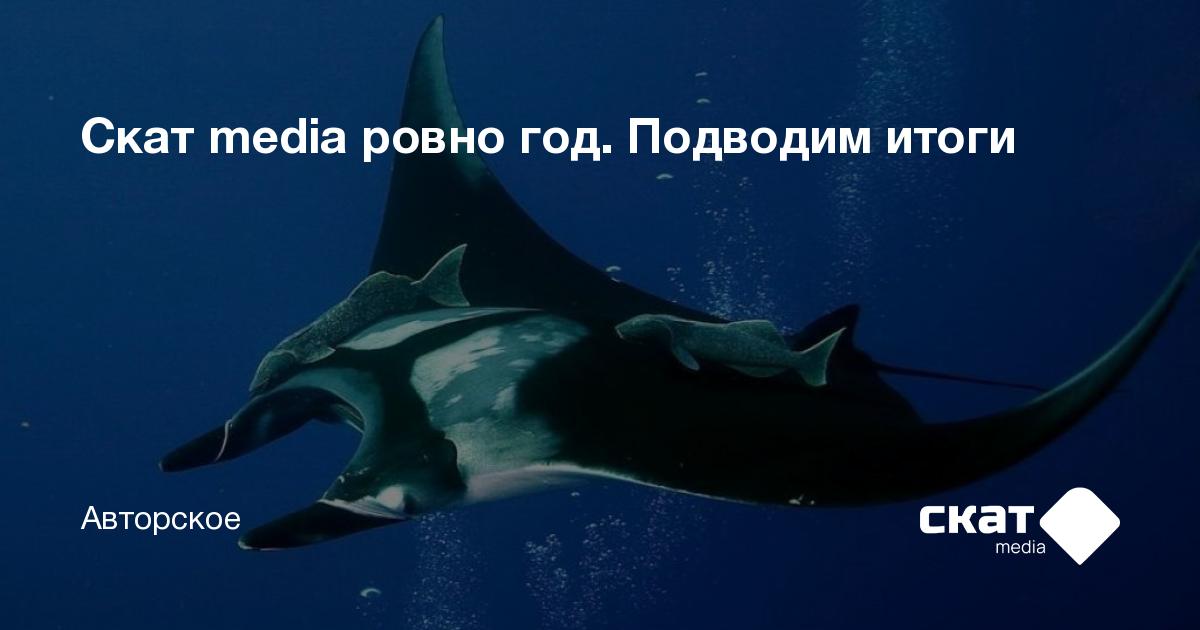 Скат media ровно год. Подводим итоги - Скат media
